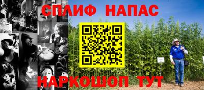 a pvp Боровичи