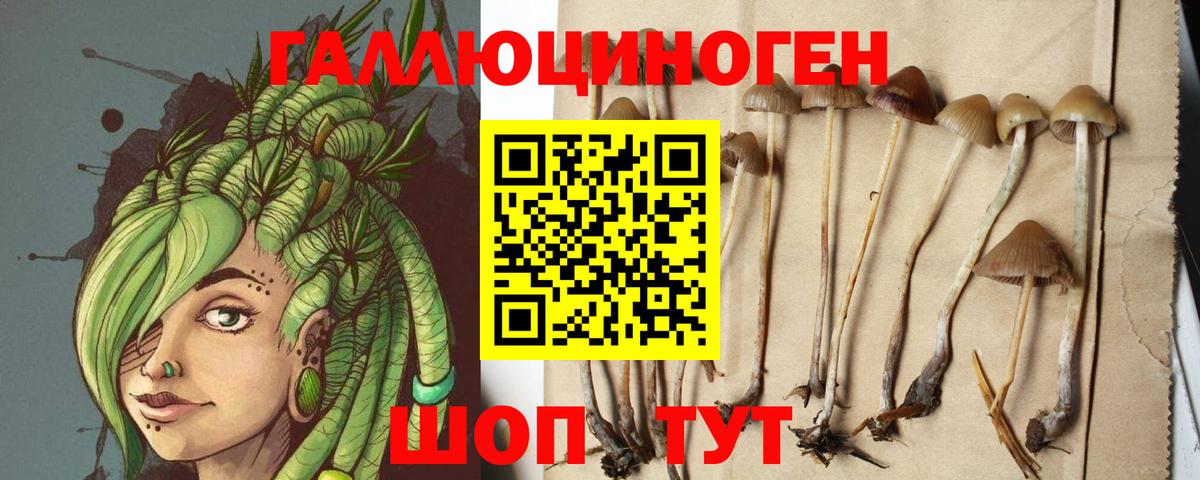 Псилоцибиновые грибы мухоморы Великий Устюг