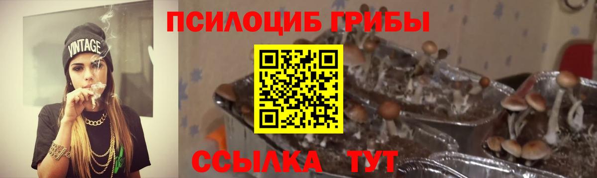 Псилоцибиновые грибы MAGIC MUSHROOMS  Галлюциногенные грибы Magic Shrooms  Вход с VPN  Великий Устюг 